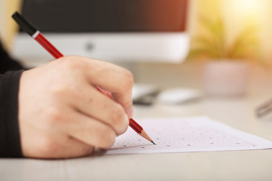 examination a questionnaire is filled in